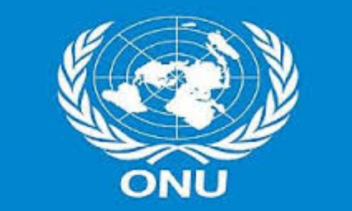 Êtes-vous d’accord avec la proposition allemande pour que la France cède  son siège permanent au Conseil de sécurité de l’ONU a l’union européen ?