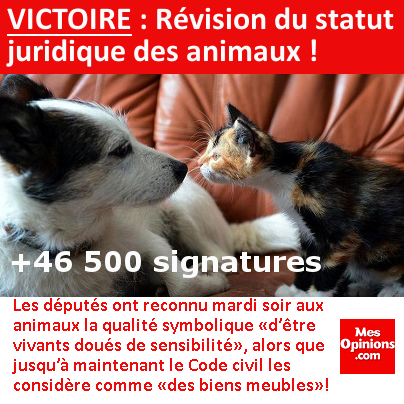 VICTOIRE : Révision du statut juridique des animaux !